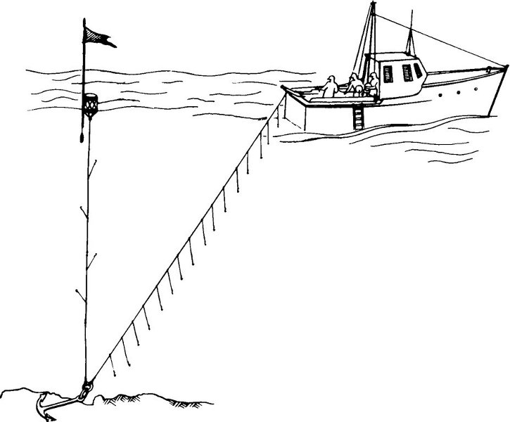 Parangal Hrvatska Enciklopedija